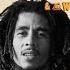 Bob Marley The Wailers Three Little Birds Oxlade Visualiser Ft Teni Oxlade