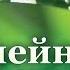 Метод рыдающее дыхание Основные положения 04 06 2011 Часть 2 Здоровье Семейный доктор