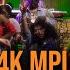 Hayvee 4K MPU Money Pull Up Ft Wishann Asma Official Music Video