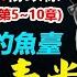 庭院深深釣魚臺 我給江青當秘書 作者 楊銀祿 中篇 第5 10章 江青 历史 中共 听书 聽書 小說 小说 有声书 有聲書