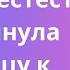 раздвинула ноги и обнажила свою холмистую киску