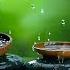 Relaxing Piano Music Bamboo Water Fountain Sleep Music Relaxing Music Meditation Music