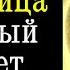 11 мая Радоница большой Родительский день