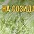 Медитация на созидание своего пути Екатерина Самойлова