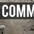 Commitment Military Motivation