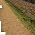 100km New Forest Gravel Adventure Free Route Download Ride It Yourself