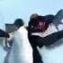 Penguin Dance Goyang Pinguin 360p