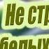 Б Л Васильев Не стреляйте в белых лебедей Краткое содержание