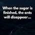 When The Sugar Is Finished The Ants Will Disappear Shorts Facts Meaning