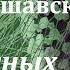 Аудиокнига Варшавский Илья Тревожных симптомов нет Советская фантастика Психологический