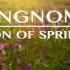 Klangnomad Son Of Spring