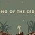 Los Cedros Cloud Forest Cosmo Sheldrake Robert Macfarlane Song Of The Cedars