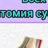 Анатомия 3 лекция Анатомия суставов в целом