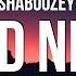 Shaboozey Good News Lyrics