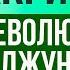 Каучуковое безумие Республика Акри Страны которых больше нет