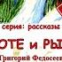 Аудиокнига Приключения в таежной глуши Об охоте и рыбалке Не стреляйте в лебедей Костя Суханов