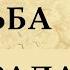 Кто такой НОСТРАДАМУС Краткая история жизни пророка и астролога