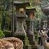 Nara Japan Discover The Magical City Where Deer And Temples Coexist 4K UHD