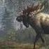 TheHunter Call Of The Wild Охота на Лосяша