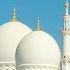 Abu Dhabi City Sightseeing Tour From Dubai