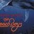 The Beach Boys Summer In Paradise Review