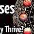 Mars In Different Houses Birth Chart Vedic Astrology Predictions Siderealastrology Astrology