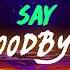 Jason Derulo X David Guetta Goodbye Feat Nicki Minaj Willy William Official HD Lyric Video