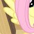 Dr Fluttershy