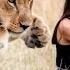 This Girl Saved The Lion Cub But Then Something Shocking Happened