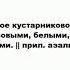 АЗАЛИЯ что это такое значение и описание