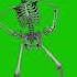 Skeleton Dancing Greenscreen Video Samba Gangnam Style Chicken Dance Twerk Fbx File