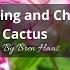 Tips And Tricks To Keep A Thanksgiving And Christmas Cactus Happy