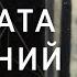 Комната желаний The Room 2018 Ольга Куриленко в мистическом триллере об исполнении желаний