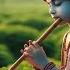 Krishna S Flute ब स र Morning Flute Yoga Music Indian Relaxing Flute Positive Energy 24 58