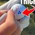 EVERY Golfer DRIVES The Golf Ball LONGER USING THIS HACK Golf Meandmygolf Golfswing Golftips