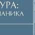 Средневековая архитектура готика и романика