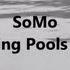 Kendrick Lamar Swimming Pools Drank Rendition By SoMo