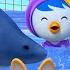 Pororo English Episodes Sea Sports Festival S7 EP16 2 Learn Good Habits For Kids