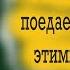 МЫ Сами себя ПОЕДАЕМ и РАЗРУШАЕМ этими мыслями психически и физически Старец Фаддей