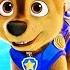 Cotneus He Li Li Paw Patrol Movie 2021