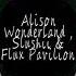 Alison Wonderland Slushii Flux Pavilion Know Your Love Swog Mashup