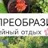 ПРОСТЫЕ ИДЕИ ДЛЯ САДА СВОИМИ РУКАМИ ИМИТАЦИЯ КАМНЯ ОБРАДОВАЛИ РОДИТЕЛЕЙ ПРЕОБРАЗИЛИ УЧАСТОК