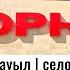 Шорнак ауылы Сауранский район Туркестанская область Казахстан 2023 год