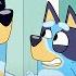 12 Mistakes You Didn T Notice In Bluey