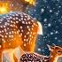 RELAXING BEAUTIFUL CHRISTMAS MUSIC 2025 Best Christmas Songs Of All Time For Relax Sleep Study