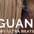 Iguana Ultra Beats