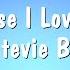 Because I Love You Stevie B Karaoke Version