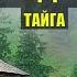 ТУПИК ДЕД в ТАЙГЕ ОТШЕЛЬНИК ГРАФ ПОПАДАНЦЫ 3 ФАНТАСТИКА КНИГА ДОМ в ЛЕСУ ИСТОРИИ из ЖИЗНИ СЕРИАЛ 21