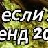 Танцуй если знаешь этот тренд 2024 года