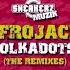 Afrojack Polkadots 2010 Oliver Twizt Remix